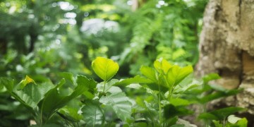 郎沁花园物业究竟是什么？