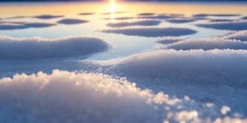 盐田兆邦基有物业吗？