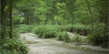 合肥和寓家园究竟是什么物业？
