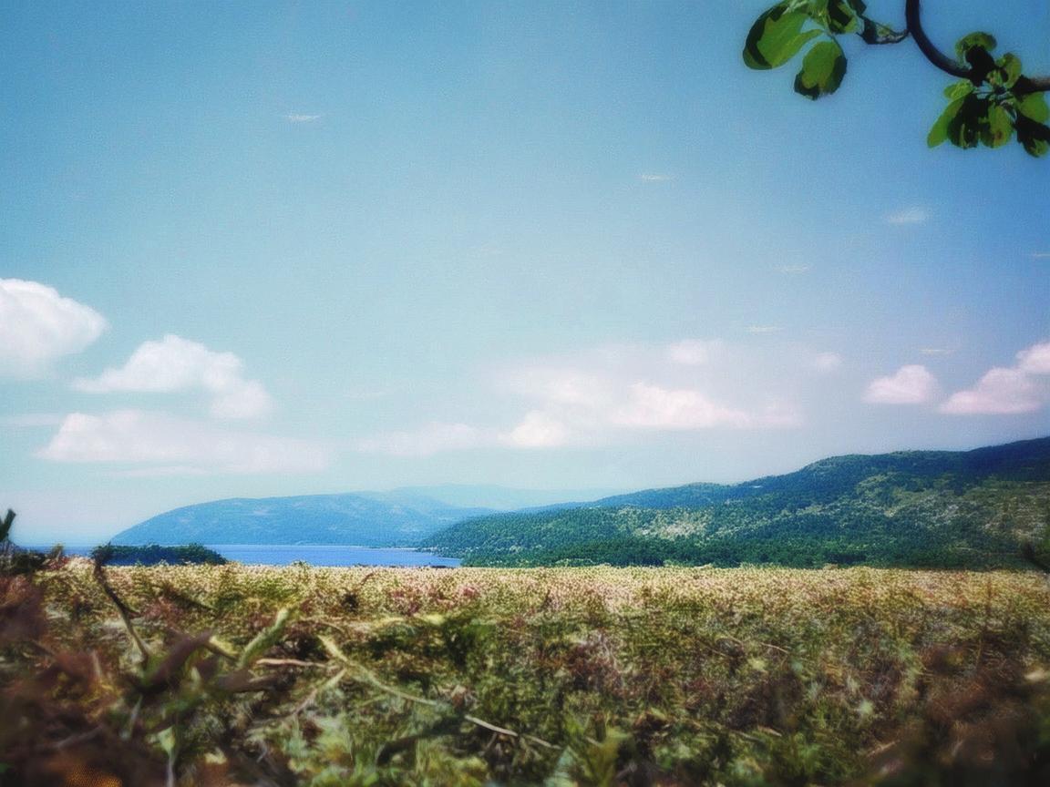 赣榆三兴花园究竟是什么物业？